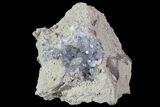 Purple/Gray Fluorite Cluster - Marblehead Quarry Ohio #81200-2